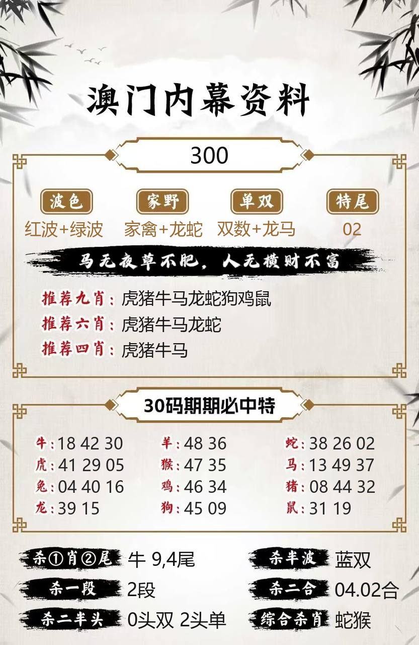 澳门新新彩内幕资料模板